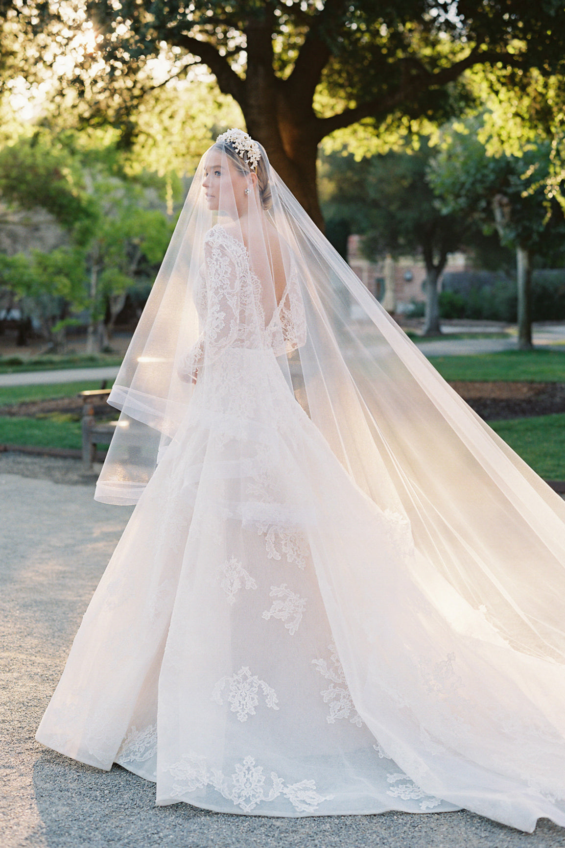 wedding dress with veil